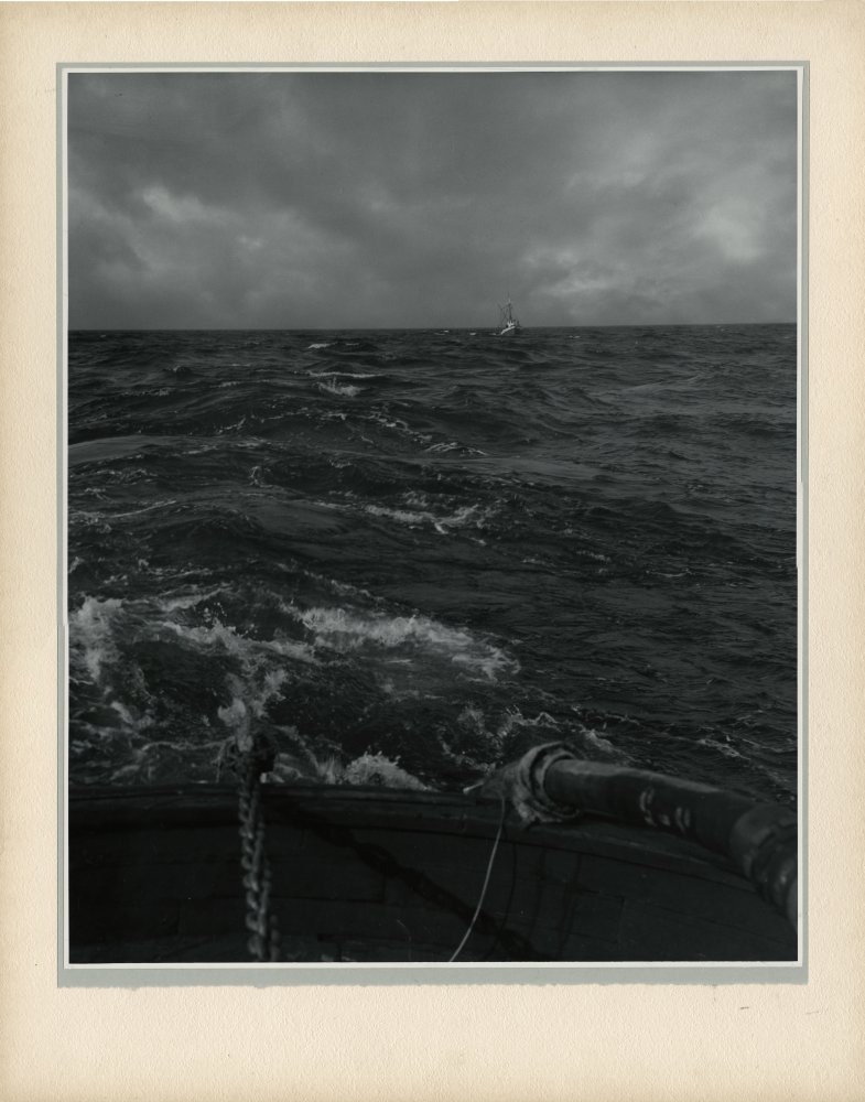 Click for larger image
